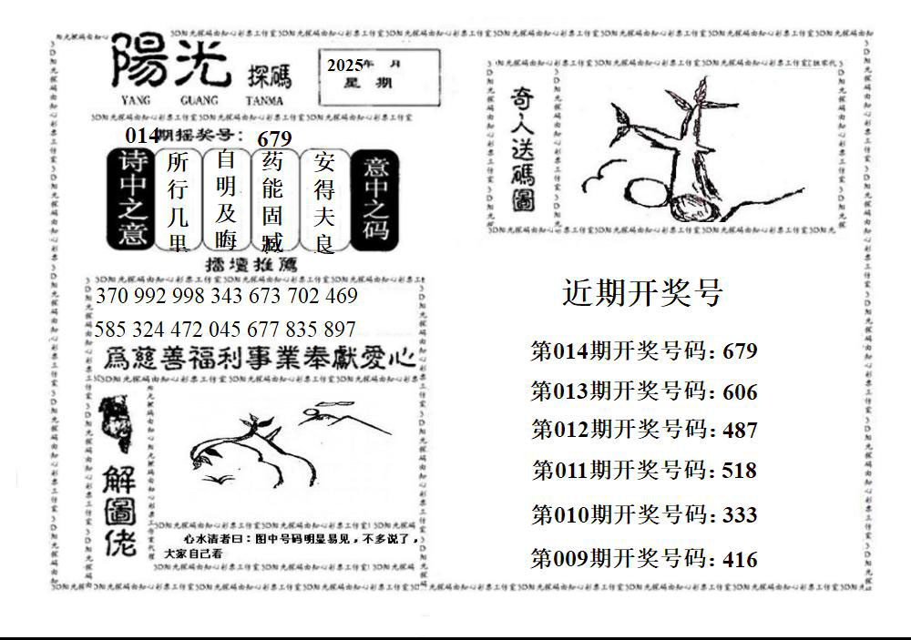 3D阳光探码